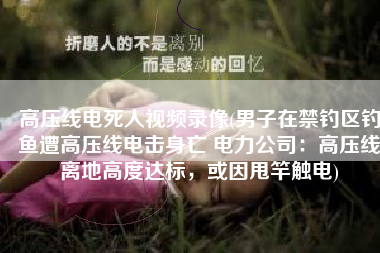 高压线电死人视频录像(男子在禁钓区钓鱼遭高压线电击身亡 电力公司：高压线离地高度达标，或因甩竿触电)