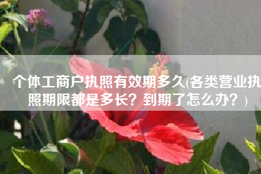 个体工商户执照有效期多久(各类营业执照期限都是多长？到期了怎么办？)