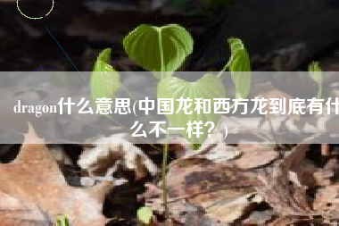 dragon什么意思(中国龙和西方龙到底有什么不一样？)