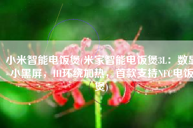 小米智能电饭煲(米家智能电饭煲3L：数显小黑屏，IH环绕加热，首款支持NFC电饭煲)