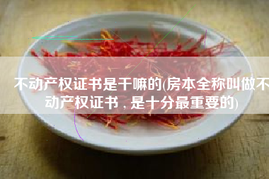 不动产权证书是干嘛的(房本全称叫做不动产权证书 , 是十分最重要的)