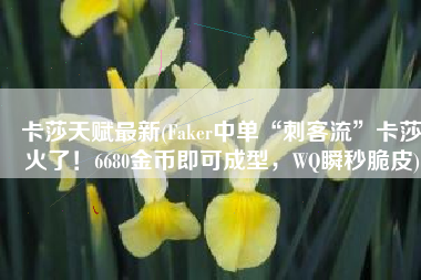 卡莎天赋最新(Faker中单“刺客流”卡莎火了！6680金币即可成型，WQ瞬秒脆皮)