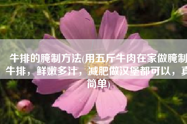 牛排的腌制方法(用五斤牛肉在家做腌制牛排，鲜嫩多汁，减肥做汉堡都可以，真简单)