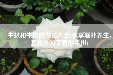 牛扒和牛排的做法大全(秋季滋补养生，怎能少的了香煎牛扒)