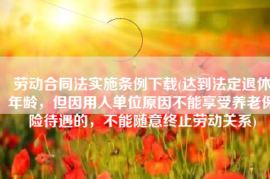 劳动合同法实施条例下载(达到法定退休年龄，但因用人单位原因不能享受养老保险待遇的，不能随意终止劳动关系)