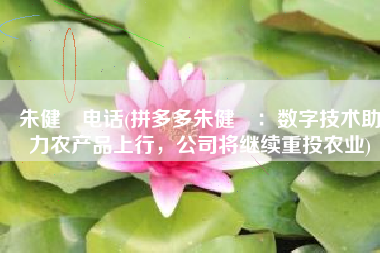 朱健翀电话(拼多多朱健翀：数字技术助力农产品上行，公司将继续重投农业)