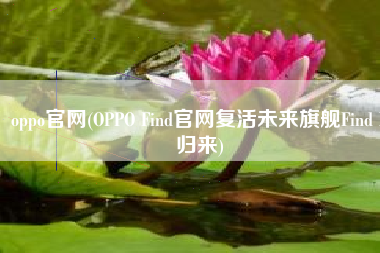 oppo官网(OPPO Find官网复活未来旗舰Find X归来)