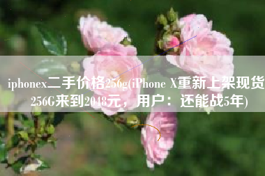 iphonex二手价格256g(iPhone X重新上架现货，256G来到2048元，用户：还能战5年)