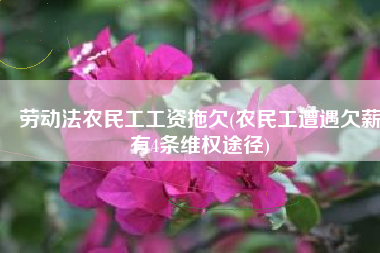 劳动法农民工工资拖欠(农民工遭遇欠薪有4条维权途径)
