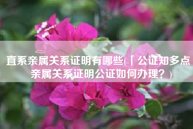 直系亲属关系证明有哪些(「公证知多点」亲属关系证明公证如何办理？)