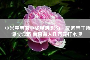 小米夺宝的中奖规则(部分一元购等于赌博或诈骗 南昌有人几万元打水漂)