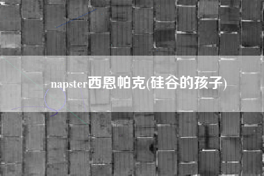 napster西恩帕克(硅谷的孩子)