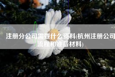 注册分公司需要什么资料(杭州注册公司流程和准备材料)
