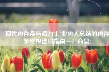 现代内存条与海力士(业内人总结的内存条终极选购指南—厂商篇)