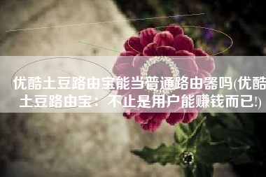 优酷土豆路由宝能当普通路由器吗(优酷土豆路由宝：不止是用户能赚钱而已!)