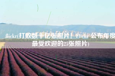 flickr(打败数十亿张照片！Flickr 公布年度最受欢迎的25张照片)