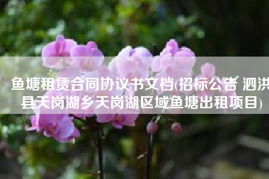 鱼塘租赁合同协议书文档(招标公告 泗洪县天岗湖乡天岗湖区域鱼塘出租项目)