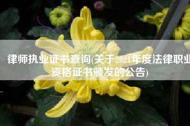 律师执业证书查询(关于2021年度法律职业资格证书颁发的公告)