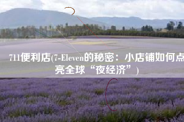 711便利店(7-Eleven的秘密：小店铺如何点亮全球“夜经济”)