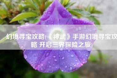 幻境寻宝攻略(《神武》手游幻境寻宝攻略 开启三界探险之旅)