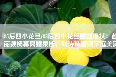 85后四小花旦(85后四小花旦婚姻现状：赵丽颖杨幂离婚果断，刘诗诗唐嫣家庭美满)