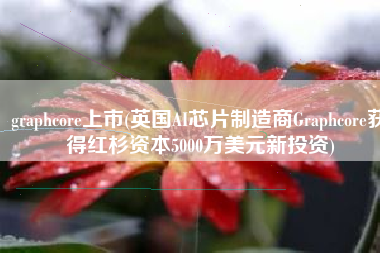 graphcore上市(英国AI芯片制造商Graphcore获得红杉资本5000万美元新投资)