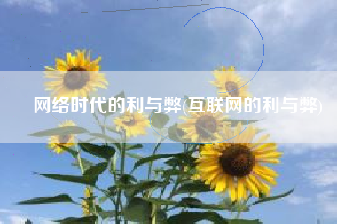 网络时代的利与弊(互联网的利与弊)