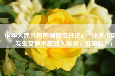 中华人民共和国侵权责任法6(“快递小哥”发生交通事故致人损害，谁来赔？)