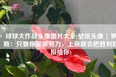 球球大作战头像图片大全(壁纸头像 | 罗斯：只要你足够努力，上帝就会把胜利回报给你)