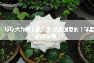 球球大作战卡通头像(极具创意的「球星动漫头像」)