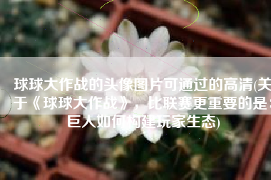 球球大作战的头像图片可通过的高清(关于《球球大作战》，比联赛更重要的是：巨人如何构建玩家生态)