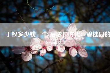 丁权多少钱一个(后增长时代：碧桂园的减法)