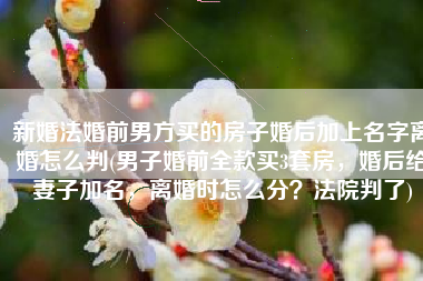 新婚法婚前男方买的房子婚后加上名字离婚怎么判(男子婚前全款买3套房，婚后给妻子加名，离婚时怎么分？法院判了)
