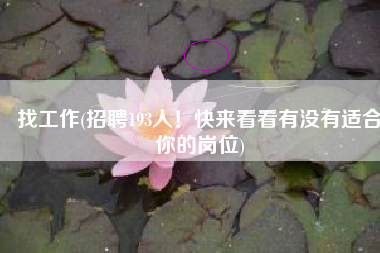 找工作(招聘193人！快来看看有没有适合你的岗位)