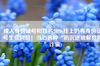成人身份证号和姓名2020(线上仍有身份证号生成网站！当心各种“防沉迷破解教程”诈骗)