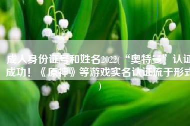 成人身份证号和姓名2022(“奥特曼”认证成功！《原神》等游戏实名认证流于形式)