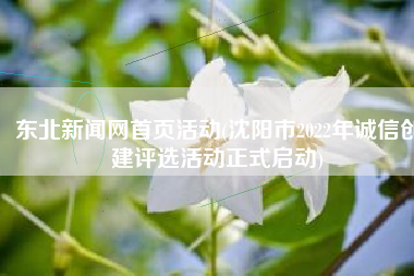 东北新闻网首页活动(沈阳市2022年诚信创建评选活动正式启动)