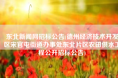 东北新闻网招标公告(德州经济技术开发区宋官屯街道办事处东北片区农田供水工程公开招标公告)