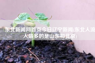 东北新闻网首页今日辽宁新闻(东北人流入最多的是山东和北京)
