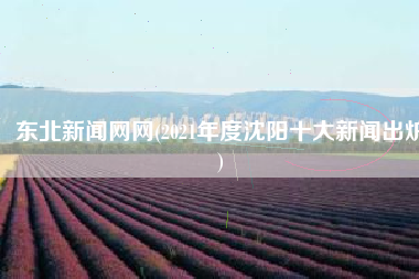 东北新闻网网(2021年度沈阳十大新闻出炉)