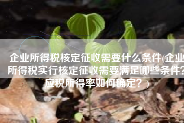 企业所得税核定征收需要什么条件(企业所得税实行核定征收需要满足哪些条件？应税所得率如何确定？)