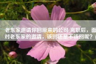 老东家邀请你回原来的公司(离职后，面对老东家的邀请，该回还是不该回呢？)