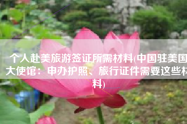 个人赴美旅游签证所需材料(中国驻美国大使馆：申办护照、旅行证件需要这些材料)