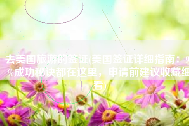 去美国旅游的签证(美国签证详细指南：99%成功秘诀都在这里，申请前建议收藏细看)