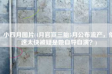 小四月图片(4月官宣三胎5月公布流产，倍速太快被疑是她自导自演？)