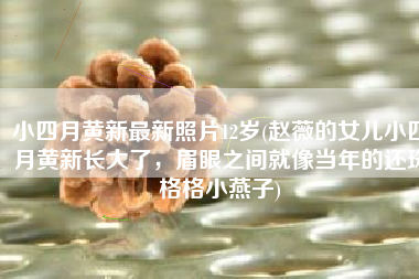 小四月黄新最新照片12岁(赵薇的女儿小四月黄新长大了，眉眼之间就像当年的还珠格格小燕子)