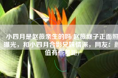 小四月是赵薇亲生的吗(赵薇继子正面照曝光，和小四月合影兄妹情深，网友：颜值有些差距)