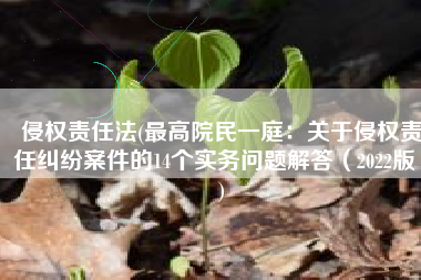 侵权责任法(最高院民一庭：关于侵权责任纠纷案件的14个实务问题解答（2022版）)