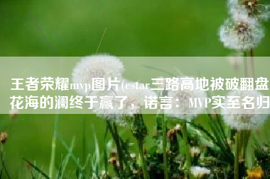 王者荣耀mvp图片(estar三路高地被破翻盘，花海的澜终于赢了，诺言：MVP实至名归)