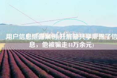 用户信息泄露案例(开屏幕共享泄露了信息，他被骗走44万余元)